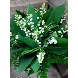 Bouquet de muguet